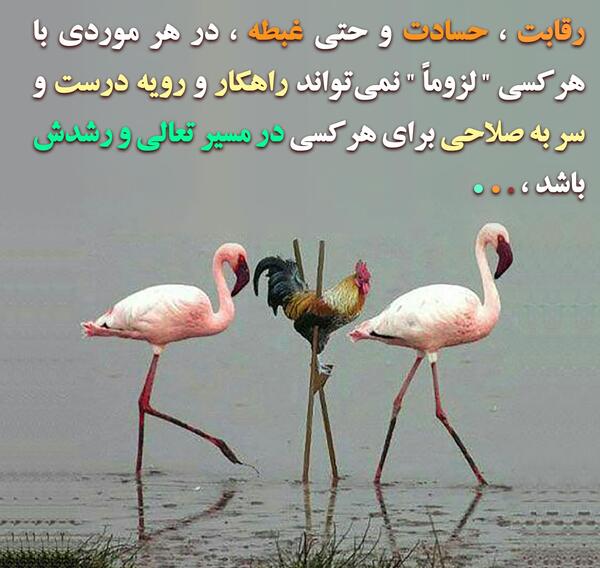 عکس نوشته حسود زندگیم