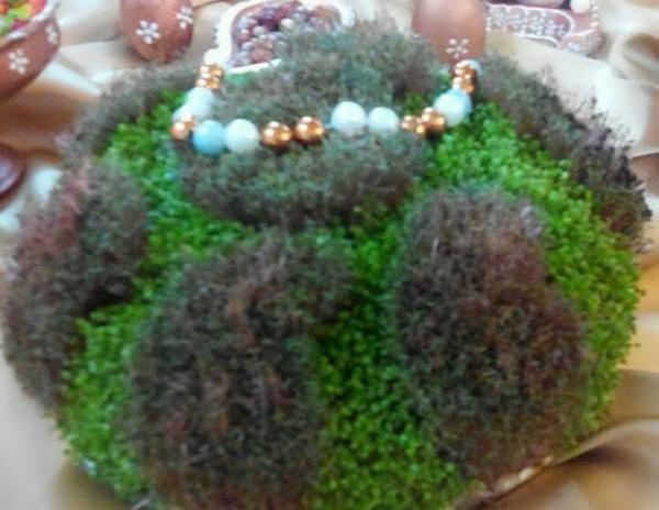 عکس سبزه ی خاکشیر