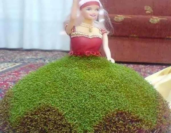 عکس سبزه ی خاکشیر