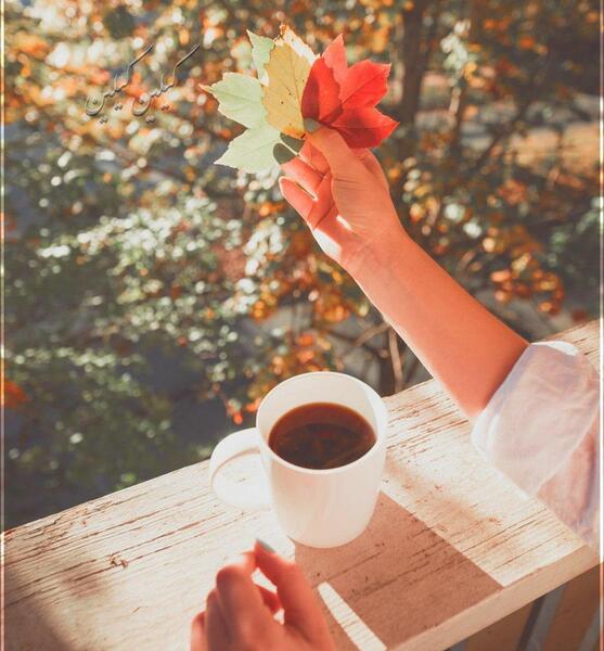 عکس زیبا برای صبح بخیر
