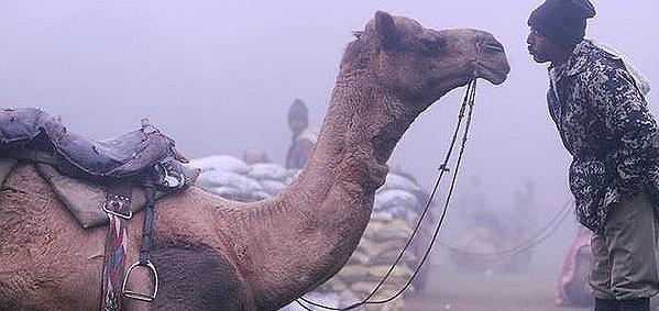 عکس نوشته تنهایی سرباز