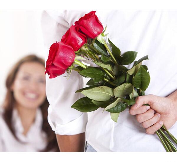 عکس گل رز افتاده روی زمین
