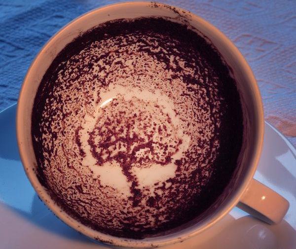 عکس فال دی ماهی