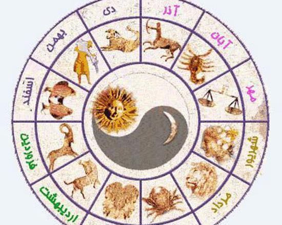 عکس فال دی ماهی