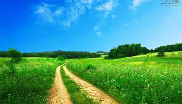عکس کلبه پر طلایی