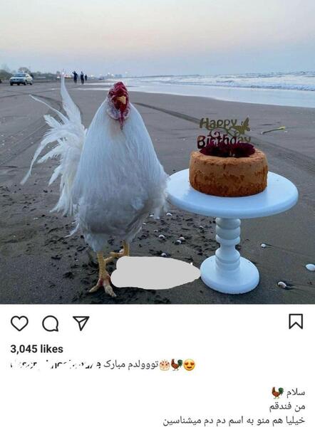 عکس تولد لب ساحل