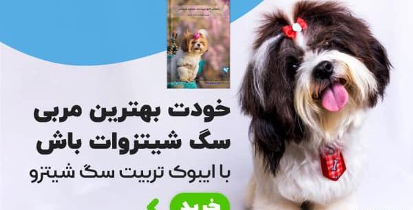 عکس تصاویر شیتزو کراس