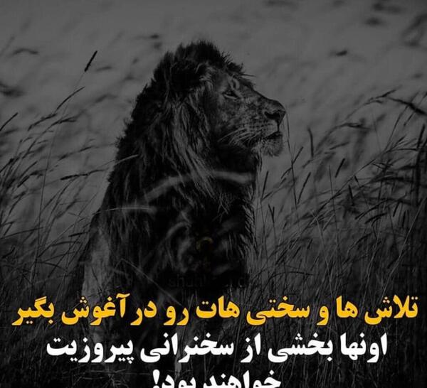 عکس ایده روز مرد اینستا