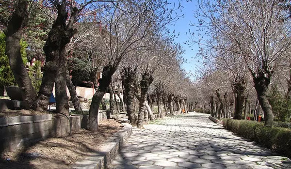 عکس جاهای ملایر