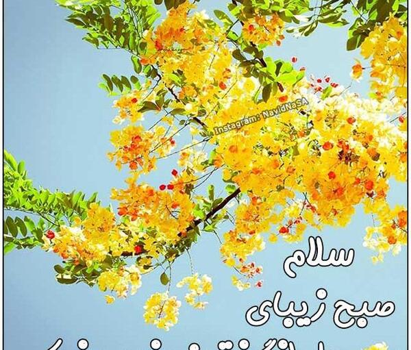 عکس صبح بخیر پاییزی زیبا