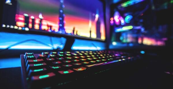 عکس شاخ برای پروفایل کانال