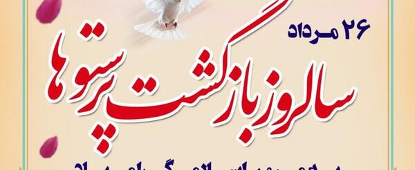 عکس ازادی ازادگان