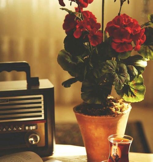 عکس نوشته ی حال خوب