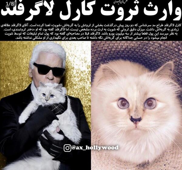 عکس نوشته کاشکی پروانه بودم