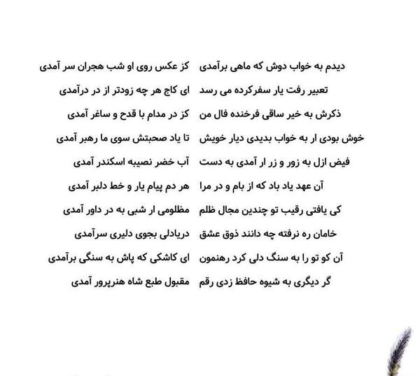 عکس نوشته کاشکی پروانه بودم