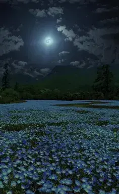 عکس شب فول اچ دی