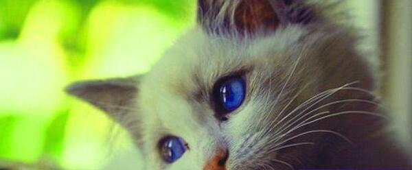 عکس های غمگین مرد