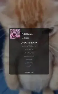 عکس نیکا فلاحی با حسین تهی