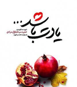 عکس شهید حمید سلیمانی