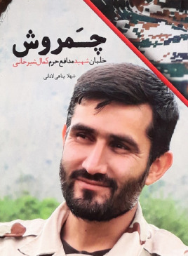 عکس شهید حمید سلیمانی