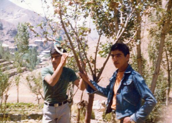 عکس شهید حمید سلیمانی