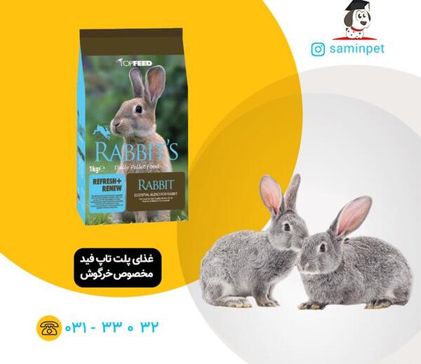 عکس پلت غذای عروس هلندی