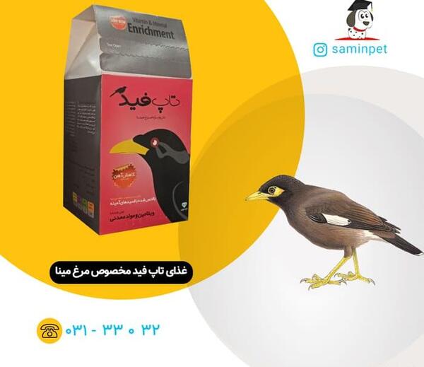 عکس پلت غذای عروس هلندی