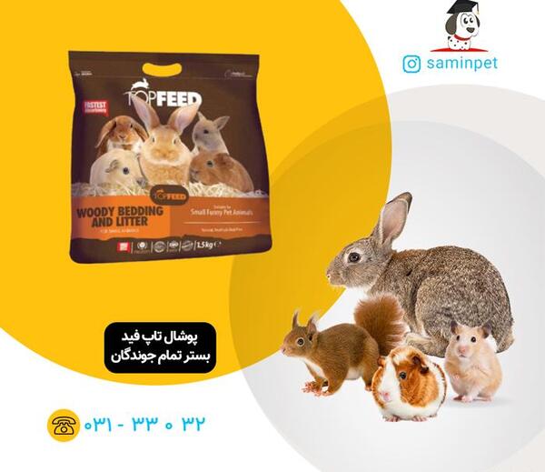 عکس پلت غذای عروس هلندی