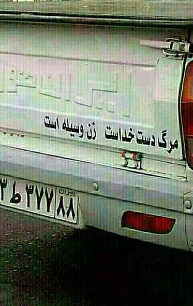 عکس جغدا لایک کنن