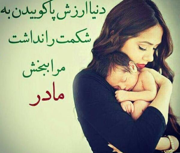 عکس جغدا لایک کنن