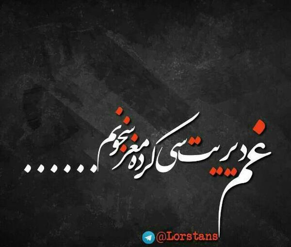 عکس جغدا لایک کنن
