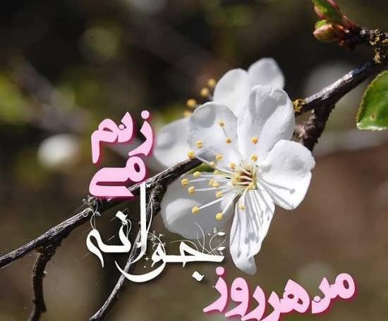 عکس نوشته عاشقانه و عارفانه زیبا
