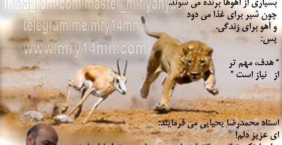 عکس نوشته صالح و فاطمه