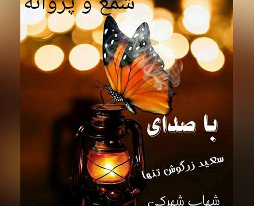 عکس شهاب شهرکی