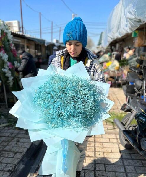عکس گل ژیپسوفیلا آبی