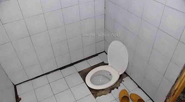 عکس دمپایی توالت