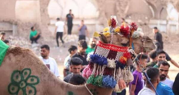عکس محمدرضا شاه با سبیل