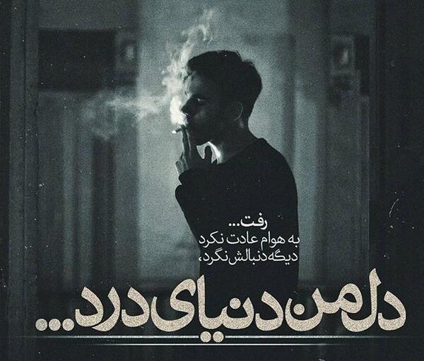عکس نوشته باحال شاخ