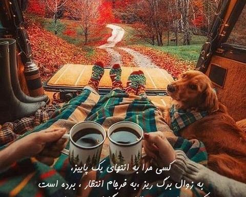عکس های عاشقانه ی پاییزی