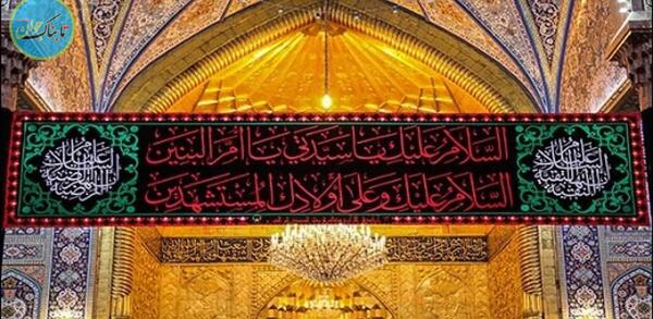 عکس روباه دو پا