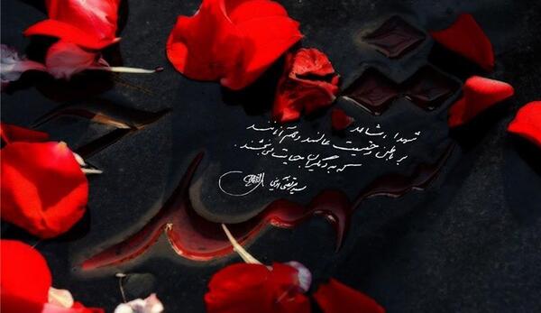 عکس گل لاله پرپر