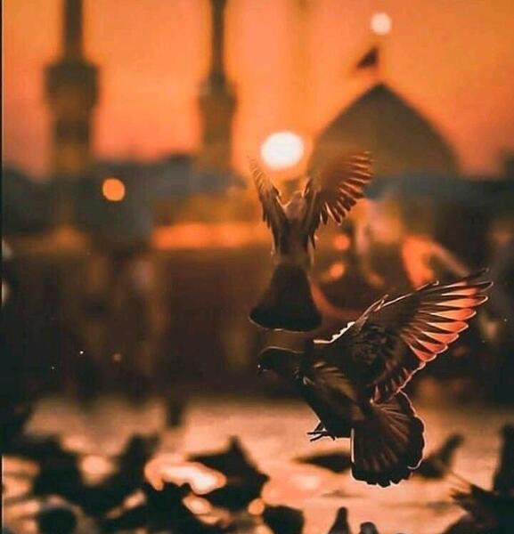بهترین عکس نوشته ی پروفایل