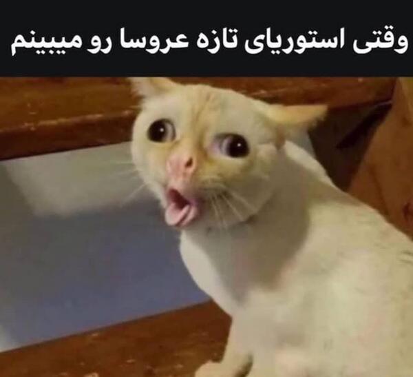 عکس مود خنده دار