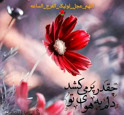 عکس نیمه شعبان اینستاگرام