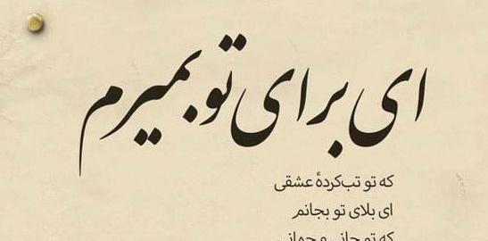 عکس شبنمی را کجا زندگی میکند؟