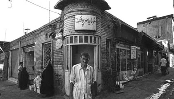 عکس از گرگ ایران