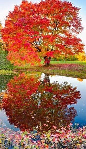 عکس زیبا از طبیعت پاییز