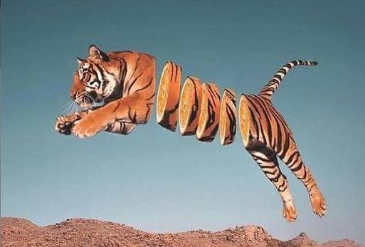 عکس پروفایل پسرانه حیوان