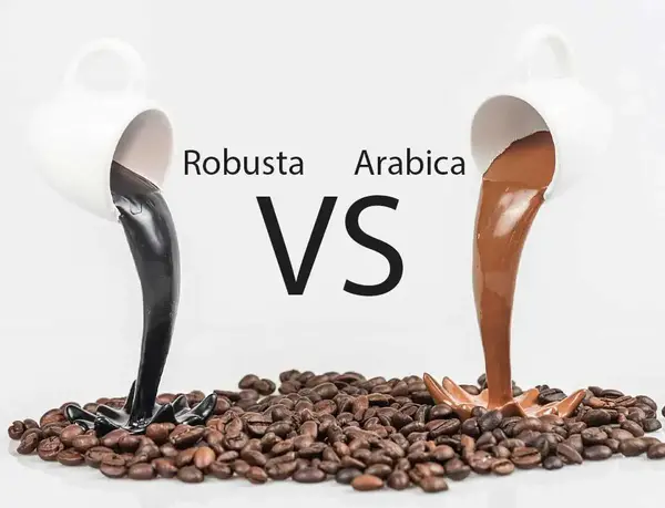 عکس قهوه روبوستا