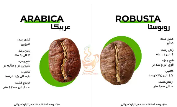 عکس قهوه روبوستا
